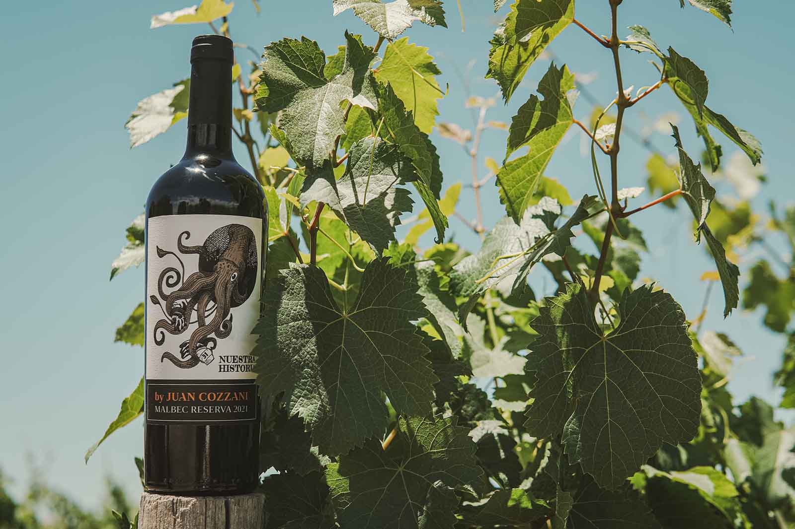 Vino Malbec - Image 3